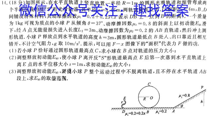 甘肃省武威市2023-2024学年第二学期高二期末质量检测物理试题答案