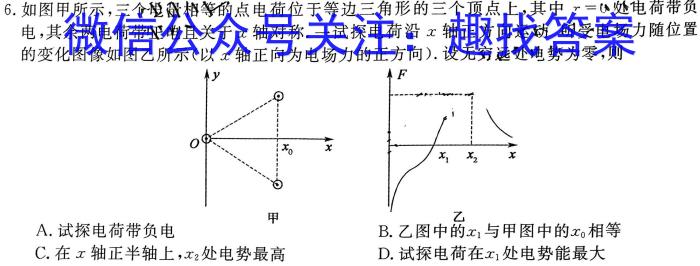 2024年普通高等学校招生全国统一考试金卷(六)6物理试题答案