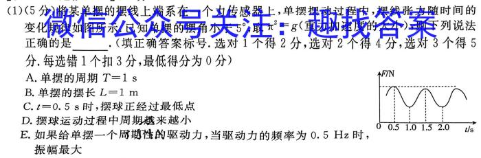 河北省沧衡学校联盟高一年级2023-2024学年下学期期中考试(24-447A)物理