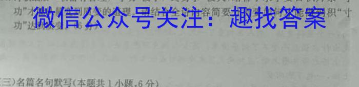 2024届天一大联考顶尖联盟 高中毕业班第四次考试语文