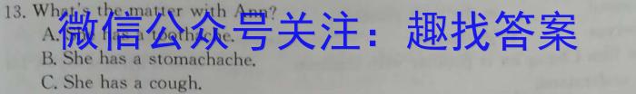 2024届华夏鑫榜安徽高三5月联考(无标题)英语