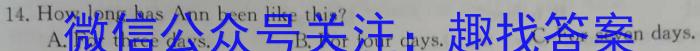 河北省2023-2024学年第一学期九年级学业水平检测四英语