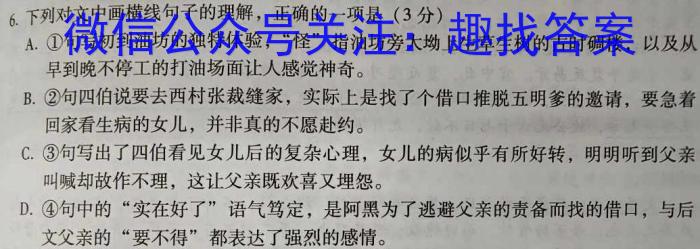 天一大联考 湖南省2024届高三5月联考(5.24)语文