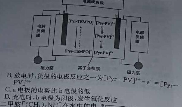 【热荐】河南省2023~2024学年度八年级上学期阶段评估(二) 3L R-HEN化学