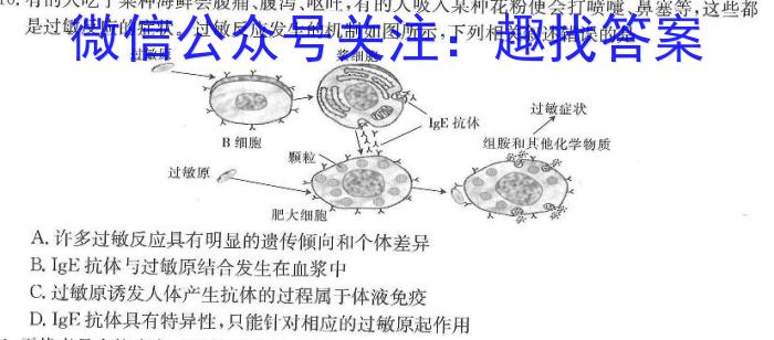 河北省2023-2024学年高二（上）质检联盟第四次月考生物学试题答案