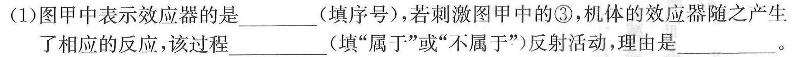 ［宝鸡三模］陕西省2024年宝鸡市高考模拟检测（三）生物