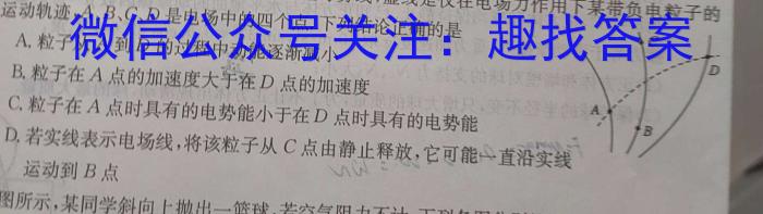 贵州省黔西市2023-2024学年度第二学期八年级期末教学质量检测物理试题答案