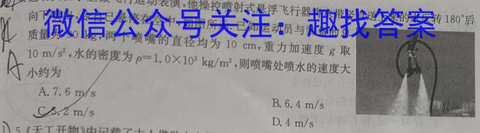 炎德英才大联考 长郡中学2024年高三寒假作业检测物理试卷答案