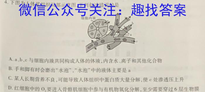 2023-2024学年度上学期“抚顺六校协作体”高一期末考试试题生物学试题答案