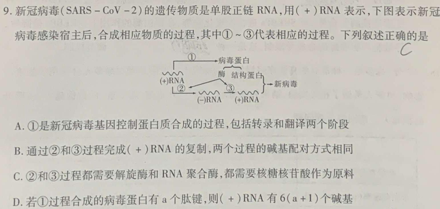 陕西省2023~2024学年度七年级第二学期期末质量调研(WG)生物