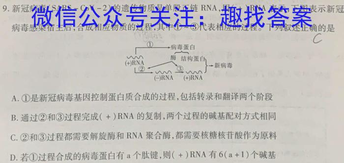 河北省邯郸市2024届高三年级第四次调研监测(24-385C)生物学试题答案