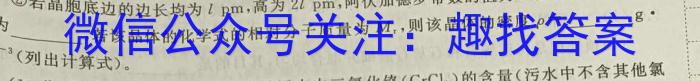 3安徽省阜阳市2023-2024学年度八年级第三次月考检测（三）△化学试题