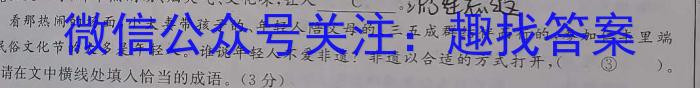 文博志鸿 2024年河南省普通高中招生考试模拟试卷(导向二)语文