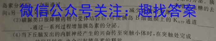 金科大联考·河南省2023-2024学年高一年级第二学期4月联考生物学试题答案