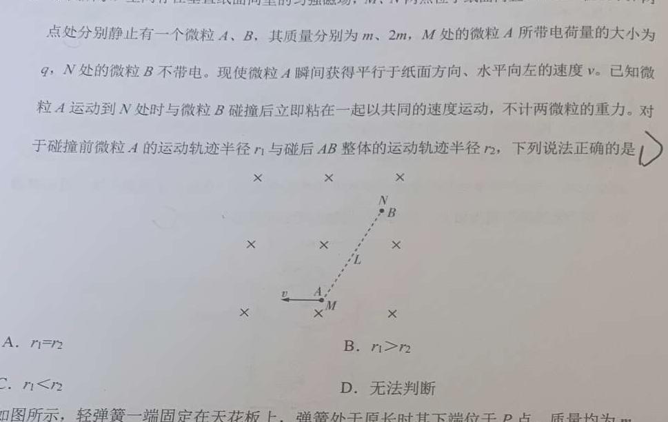 [今日更新]湖北省武汉市2024届高三二调.物理试卷答案