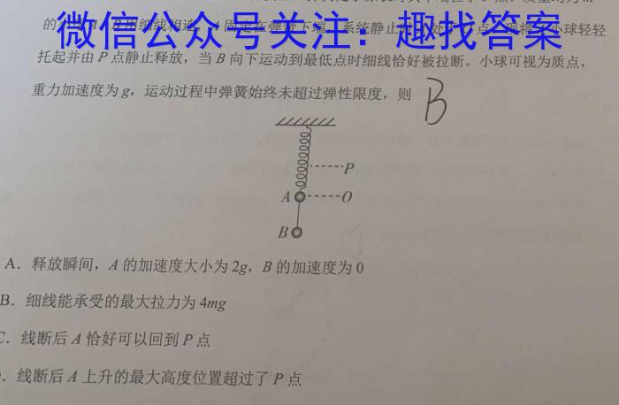 山西省2024年中考导向预测信息试卷(四)物理`