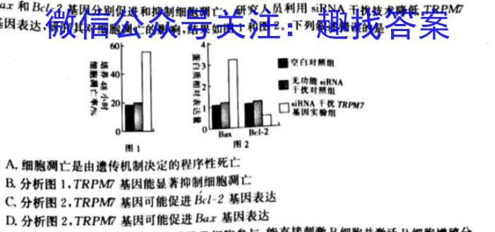 2024届衡水金卷先享题调研卷(福建专版)三生物学试题答案