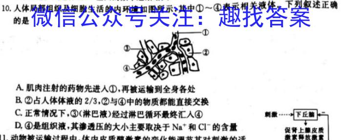 全国2024届高三年级3月联考（半瓶水瓶）生物学试题答案