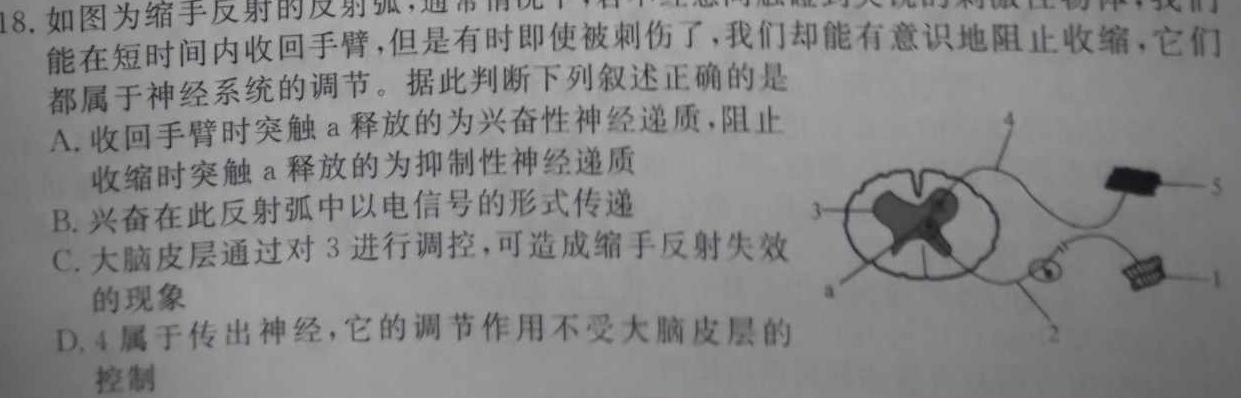 2024年四川省大数据精准教学联盟2021级高三第一次统一监测(2024.2)生物学部分