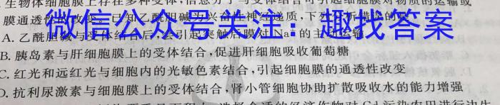 ［二轮］2024年名校之约·中考导向总复习模拟样卷（八）生物学试题答案