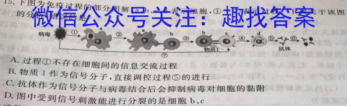 安徽省2023-2024学年（上）高一冬季阶段性检测生物学试题答案