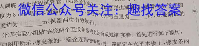 2024年安徽省初中学业水平考试·模拟冲刺卷(四)4物理试题答案