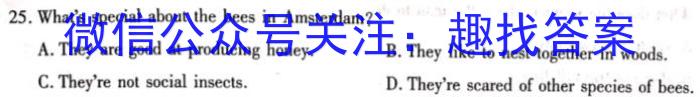 广西高二年级2024年春季学期入学联合检测卷(24-348B)英语试卷答案