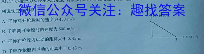 2024年普通高等学校招生全国统一考试仿真模拟卷(T8联盟)(一)1物理试卷答案