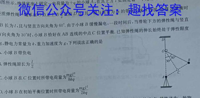 湘豫名校联考 2024届春季学期高三第三次模拟考试物理试卷答案