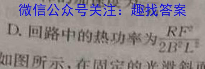 炎德英才大联考 长郡中学2023年下学期高二期末考试物理