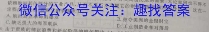 天一大联考 2023-2024学年高一年级阶段性测试(二)2历史