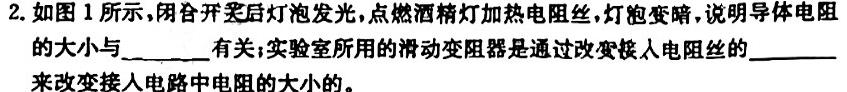 [今日更新]河北省正定县2024年九年级第一次模拟考试.物理试卷答案