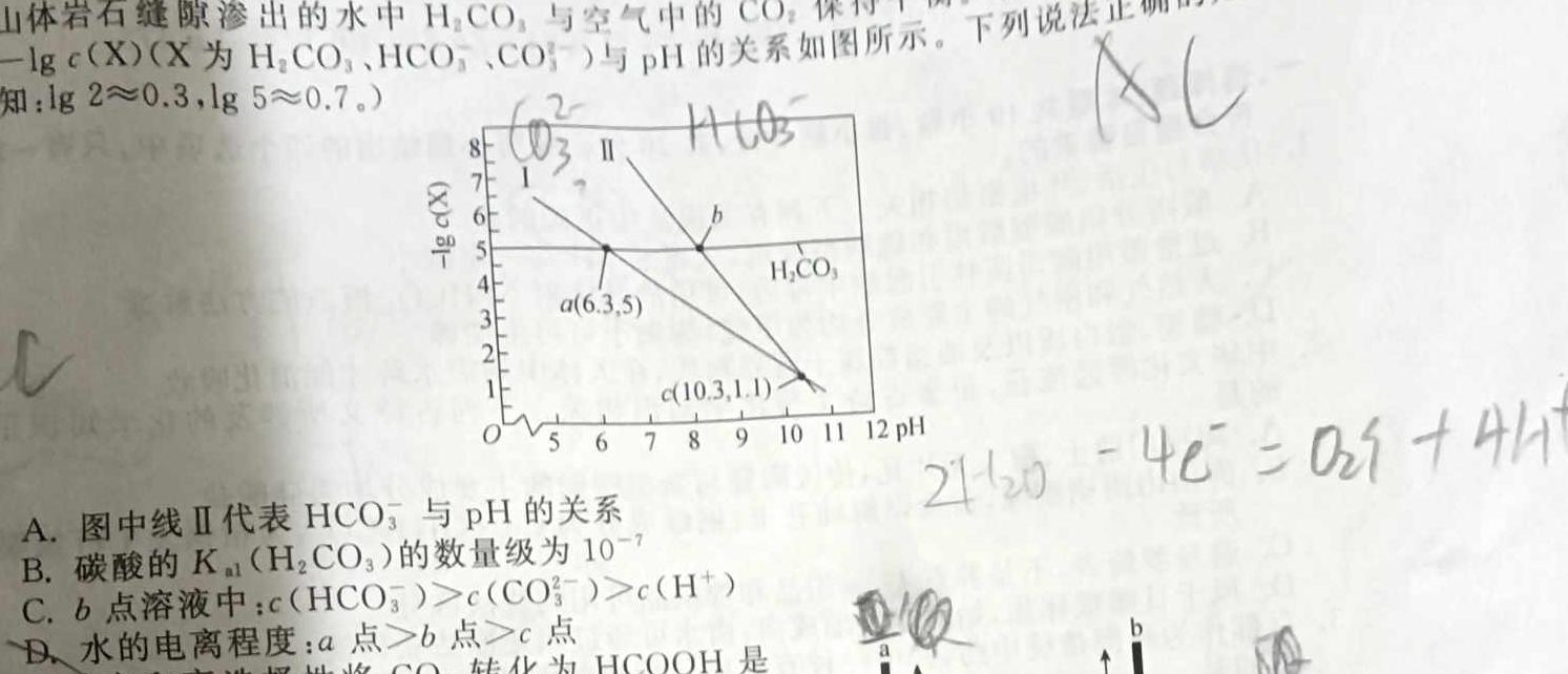 1衡水金卷 2024届高三年级12月份大联考(新教材)化学试卷答案