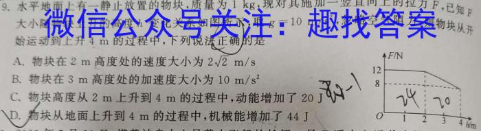 山东省淄博市2023-2024学年高二年级上学期期末考试物理试卷答案