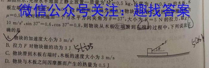 内蒙古2023-2024学年兴安盟高二年级学业水平质量检测(24-437B)物理试卷答案