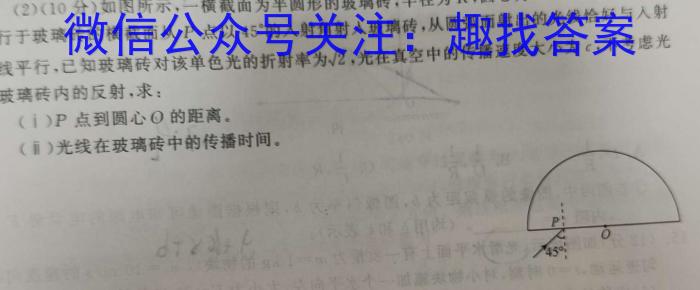 江西省2024年初中学业水平考试模拟(九)9物理试卷答案