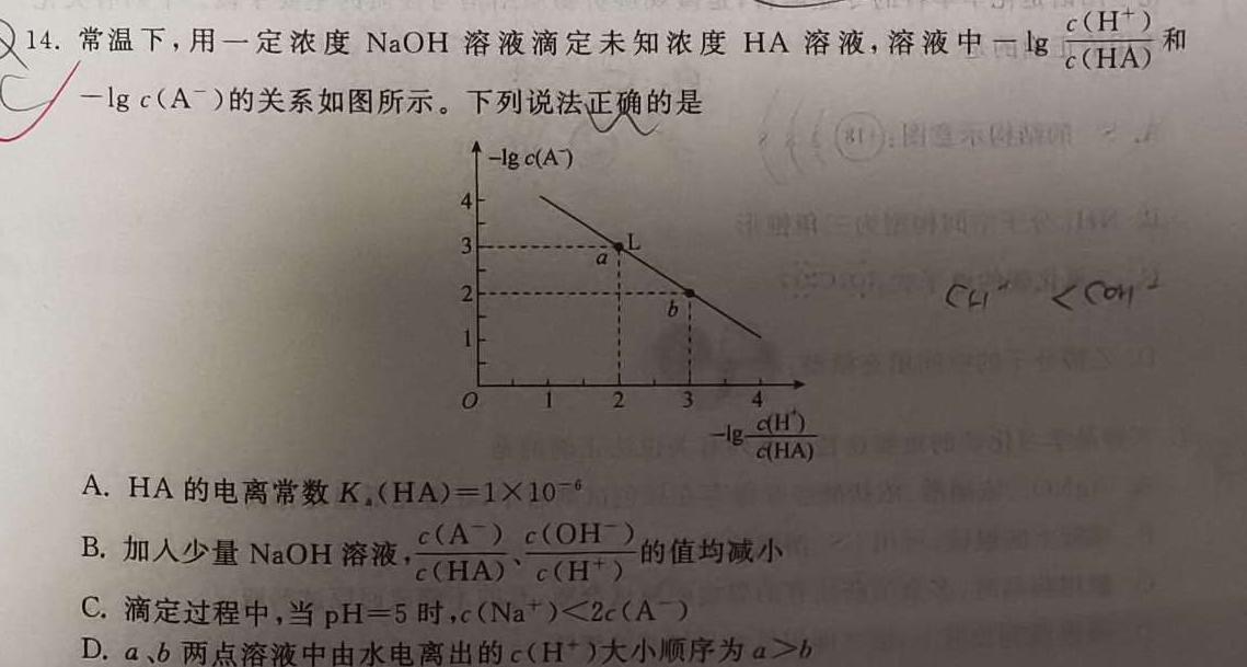 1河南省2023-2024学年度第一学期九年级期末测试卷化学试卷答案