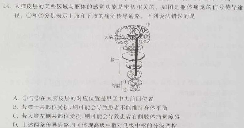 2024年河南省普通高中招生考试试卷方向卷生物