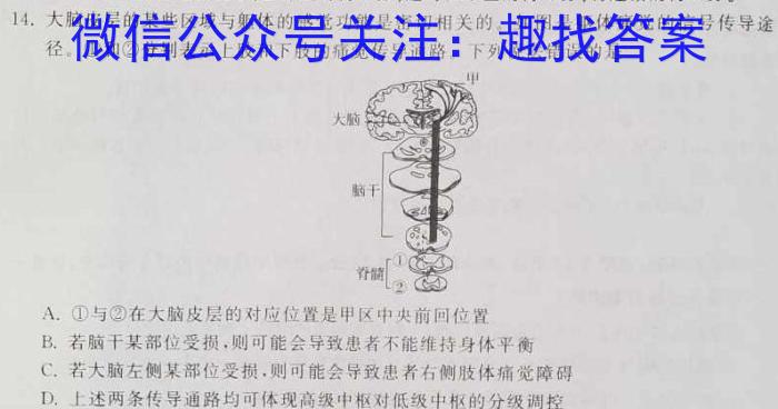 辽宁省三省一区2025届高中毕业班第一次质量检测(2024.11)生物学试题答案