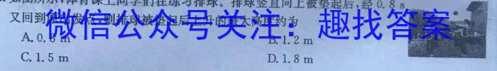 湖南省2024年邵阳市拔尖创新人才早期培养高一第一次联考试题卷物理试卷答案