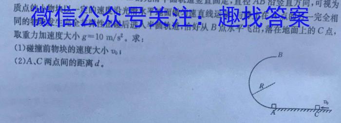 2023-2024学年安徽省七年级教学质量检测(四)物理试卷答案