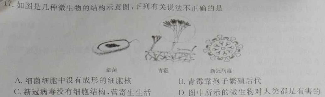 山东省菏泽市成武县育青中学2024-2025学年上学期八年级暑假作业检测（开学考试）生物