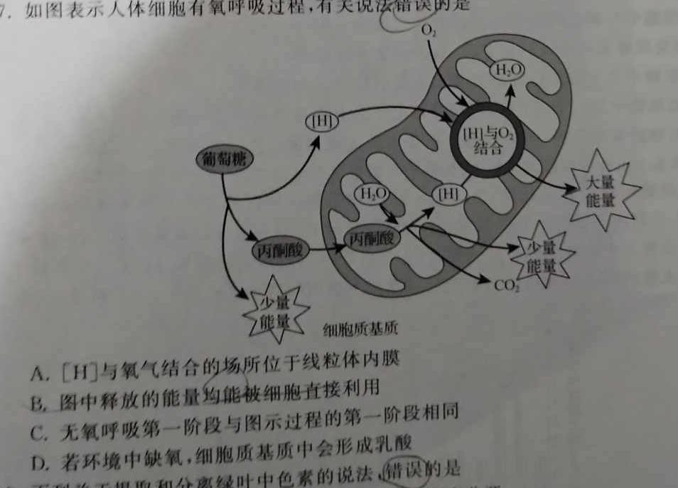 文博志鸿 2024年文博志鸿河北名校九年级联考试卷生物学部分