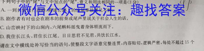 江西省2024年初中学考终极一考卷模拟卷(5月)语文