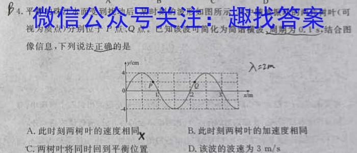 河北省2024届高三学生全过程纵向评价(二)2f物理