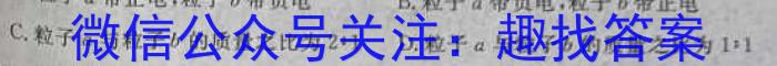 2024ʡ5(?)xԾ
