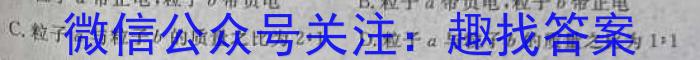 江西省2024年初中学业水平考试适应性试卷试题卷(一)1物理试题答案