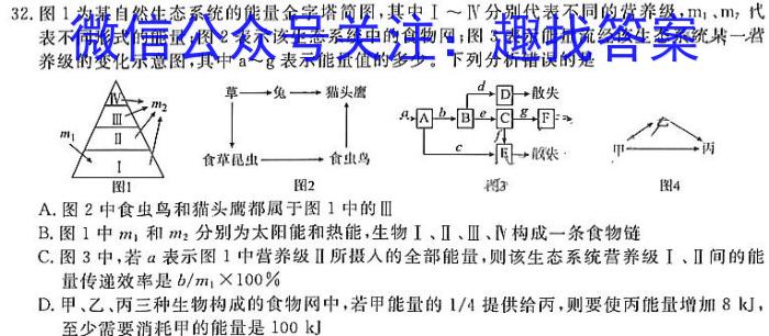 三重教育·2024届高三年级上学期12月联考（新高考）生物学试题答案