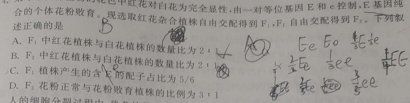 琢名小渔·2024-2025学年高二年级开学第一次联考生物学部分