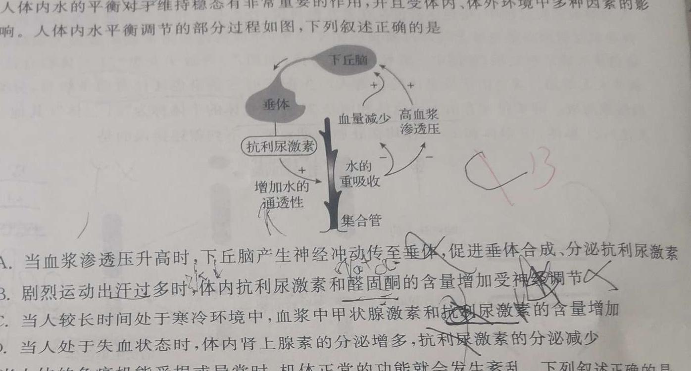 2024年广东省中考信息押题卷(三)生物学部分